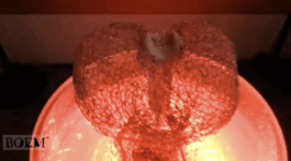 Mag.art Michael Kalivoda